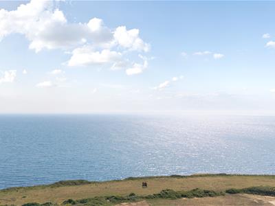 Picture 17